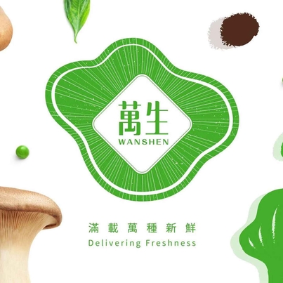 wanshen logo
